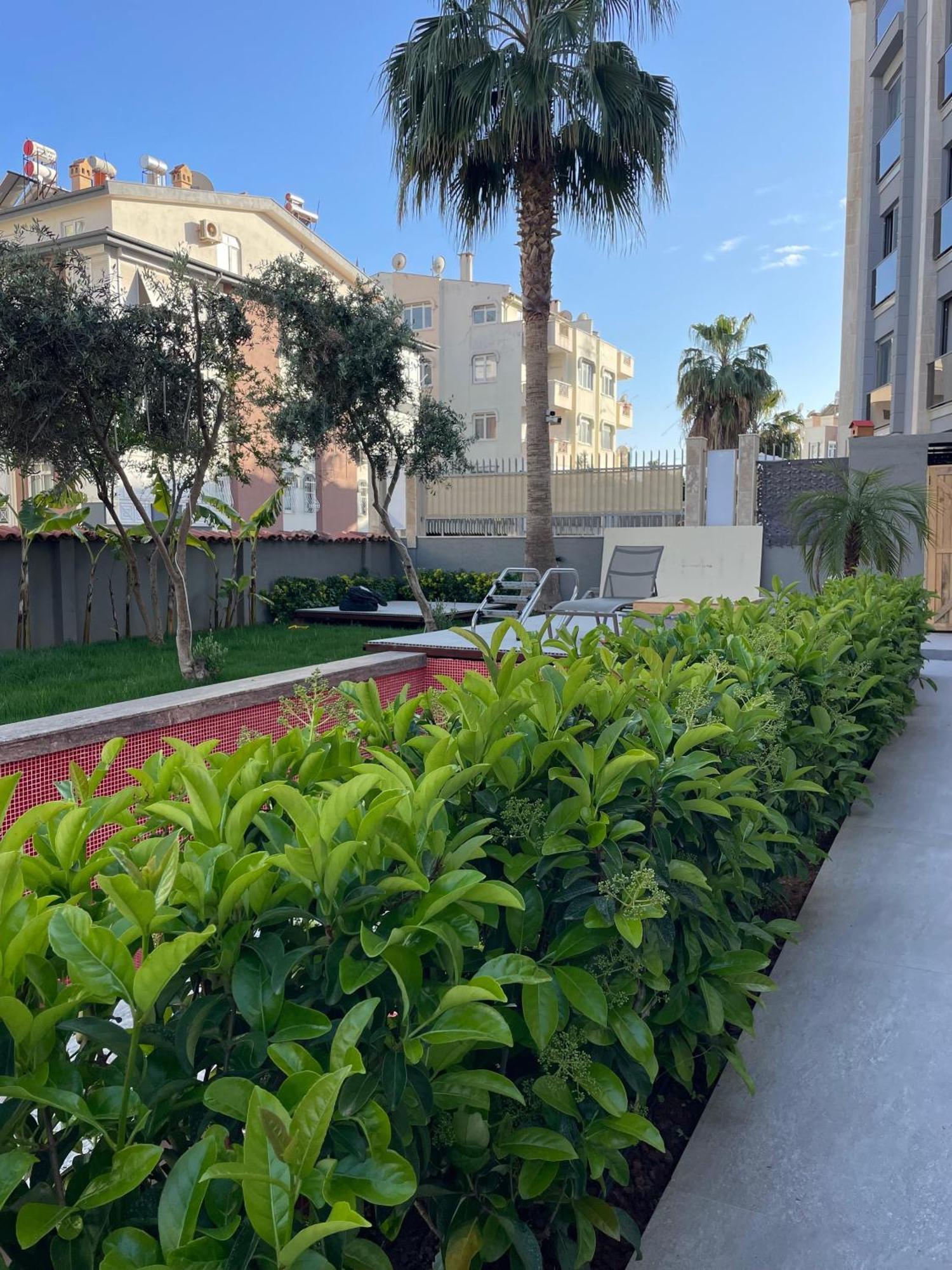 Wolf Suites Antalya Eksteriør billede